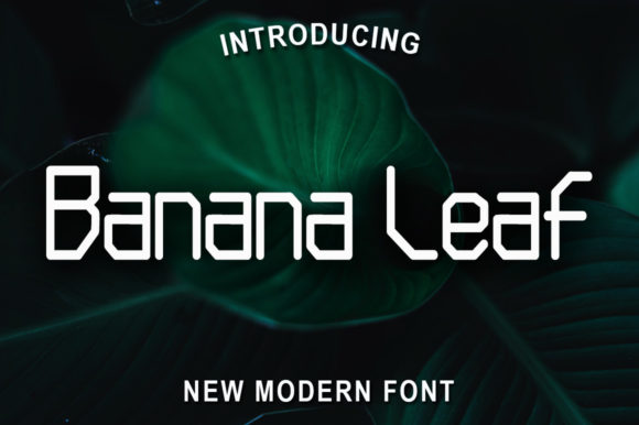 Banana Leaf: A Simple Display Font for Polished Branding